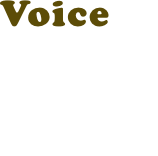 Voice 03
