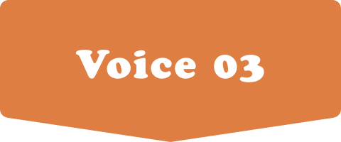 Voice 03