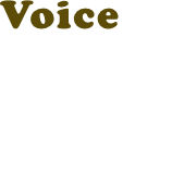 Voice 01