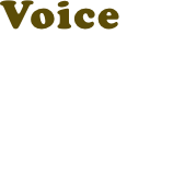 Voice 02