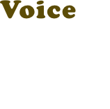 Voice 04