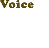 Voice 05