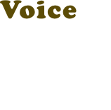 Voice 06