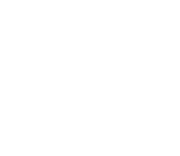 Voice 01