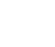 Voice 02