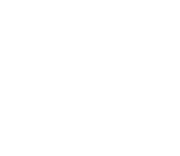 Voice 03