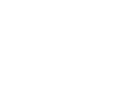 Voice 04